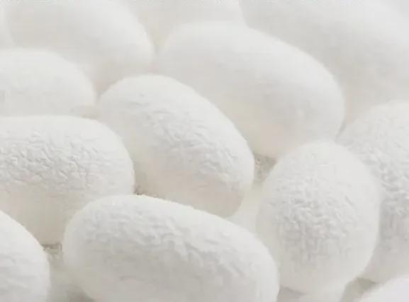 护膝保暖锁温；关节膏抹开温温热热搭配按摩更好新利体育注册入口天一凉关节就开始难受了？蚕丝(图9)